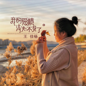 李毅动态第二十一期最新消息
